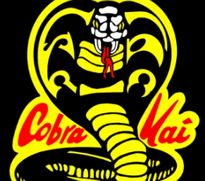 Cobra Kai Slogan And Tagline