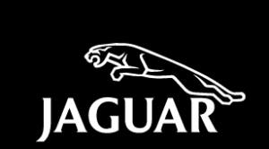Jaguar Slogan And Tagline 2024